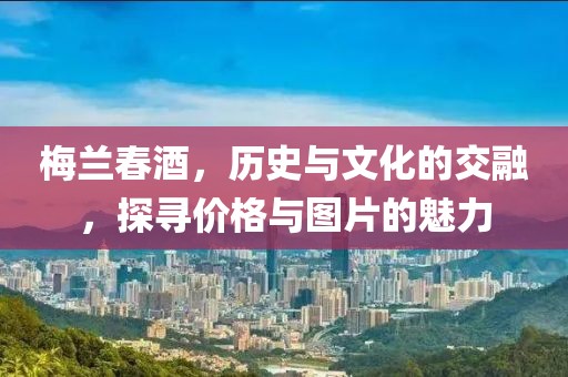 梅蘭春酒，歷史與文化的交融，探尋價(jià)格與圖片的魅力