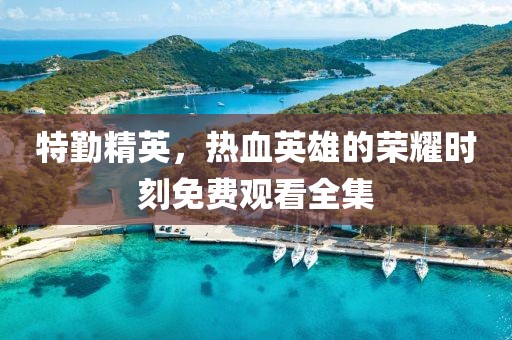 特勤精英，熱血英雄的榮耀時刻免費觀看全集