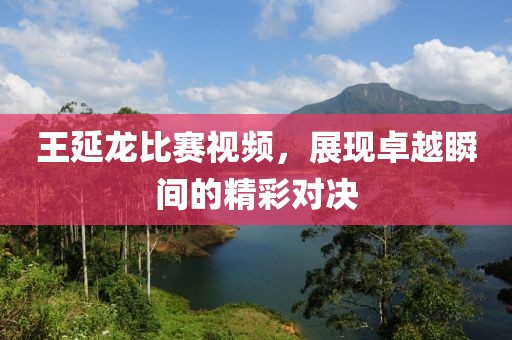 王延龍比賽視頻，展現(xiàn)卓越瞬間的精彩對決