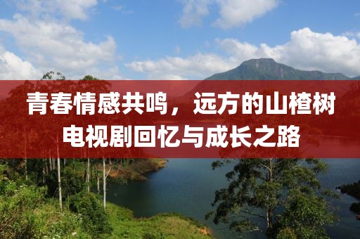 青春情感共鳴，遠方的山楂樹電視劇回憶與成長之路