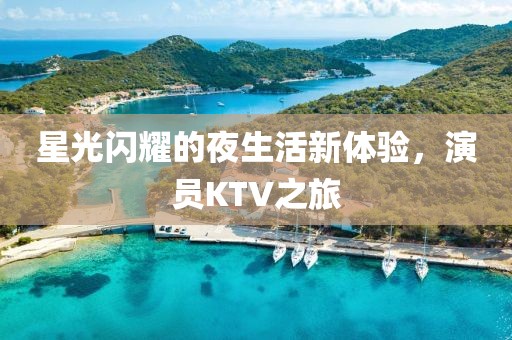 星光閃耀的夜生活新體驗(yàn)，演員KTV之旅