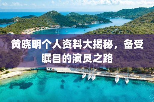 黃曉明個(gè)人資料大揭秘，備受矚目的演員之路