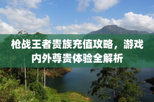 槍戰(zhàn)王者貴族充值攻略，游戲內(nèi)外尊貴體驗(yàn)全解析