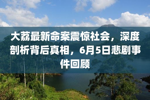 大荔最新命案震驚社會，深度剖析背后真相，6月5日悲劇事件回顧