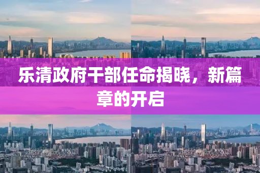 樂(lè)清政府干部任命揭曉，新篇章的開(kāi)啟