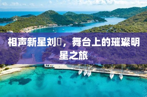 相聲新星劉喆，舞臺上的璀璨明星之旅