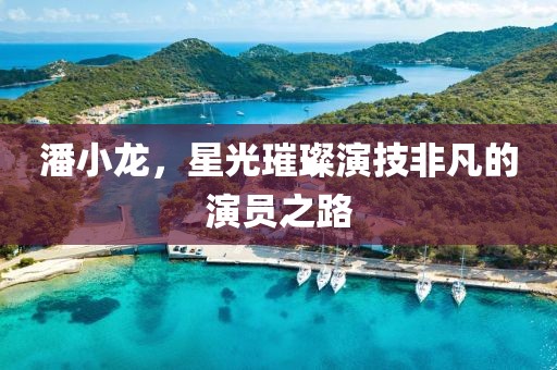潘小龍，星光璀璨演技非凡的演員之路