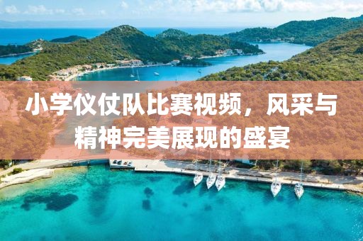 小學(xué)儀仗隊(duì)比賽視頻，風(fēng)采與精神完美展現(xiàn)的盛宴