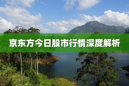 京東方今日股市行情深度解析