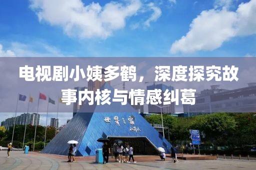 電視劇小姨多鶴，深度探究故事內核與情感糾葛