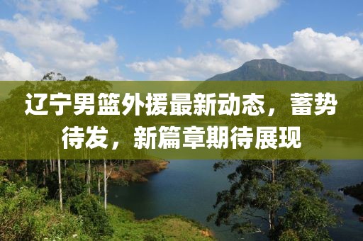 遼寧男籃外援最新動態(tài)，蓄勢待發(fā)，新篇章期待展現(xiàn)
