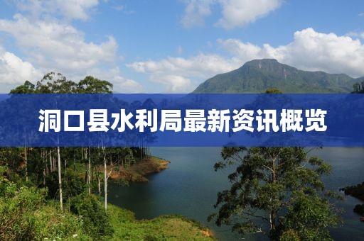 洞口縣水利局最新資訊概覽