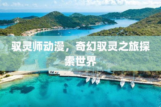 馭靈師動漫，奇幻馭靈之旅探索世界