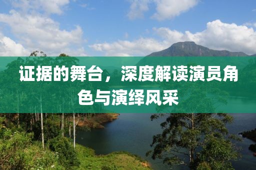證據(jù)的舞臺，深度解讀演員角色與演繹風采