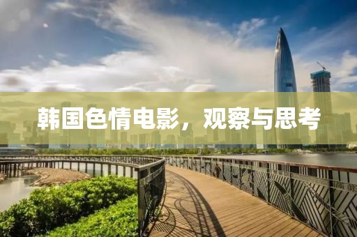 韓國色情電影，觀察與思考