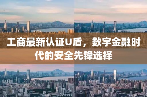 工商最新認(rèn)證U盾，數(shù)字金融時(shí)代的安全先鋒選擇