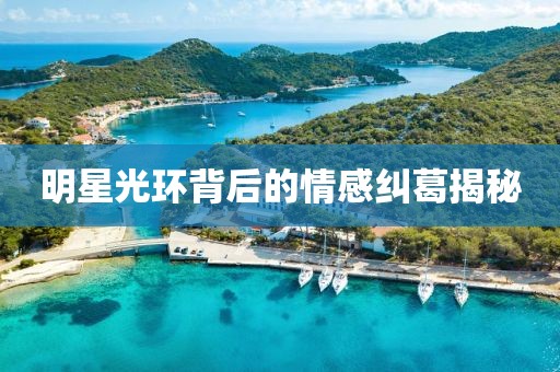 明星光環(huán)背后的情感糾葛揭秘