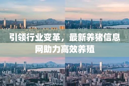 引領(lǐng)行業(yè)變革，最新養(yǎng)豬信息網(wǎng)助力高效養(yǎng)殖
