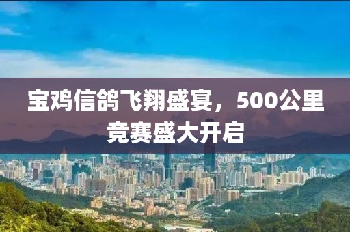 寶雞信鴿飛翔盛宴，500公里競(jìng)賽盛大開(kāi)啟