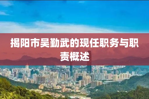 揭陽(yáng)市吳勤武的現(xiàn)任職務(wù)與職責(zé)概述