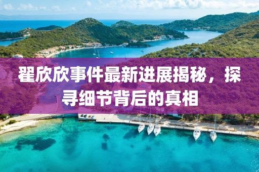 翟欣欣事件最新進(jìn)展揭秘，探尋細(xì)節(jié)背后的真相