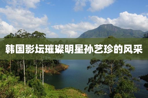 韓國(guó)影壇璀璨明星孫藝珍的風(fēng)采