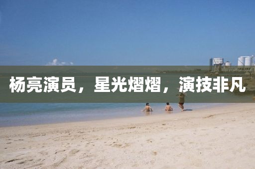 楊亮演員，星光熠熠，演技非凡