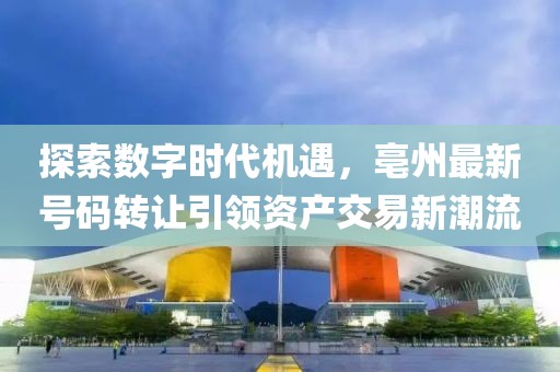 探索數(shù)字時(shí)代機(jī)遇，亳州最新號(hào)碼轉(zhuǎn)讓引領(lǐng)資產(chǎn)交易新潮流