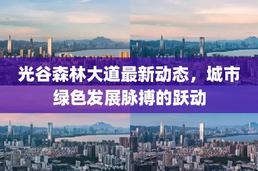 光谷森林大道最新動態(tài)，城市綠色發(fā)展脈搏的躍動