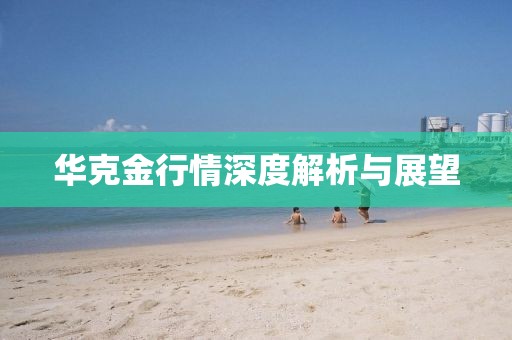 華克金行情深度解析與展望