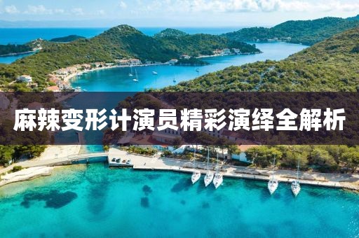 麻辣變形計演員精彩演繹全解析