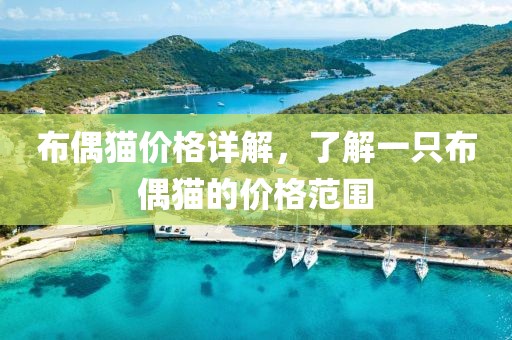布偶貓價(jià)格詳解，了解一只布偶貓的價(jià)格范圍