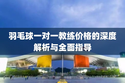 羽毛球一對一教練價格的深度解析與全面指導