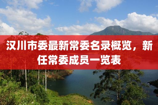 漢川市委最新常委名錄概覽，新任常委成員一覽表