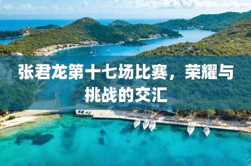 張君龍第十七場(chǎng)比賽，榮耀與挑戰(zhàn)的交匯