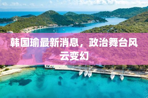 韓國瑜最新消息，政治舞臺風(fēng)云變幻