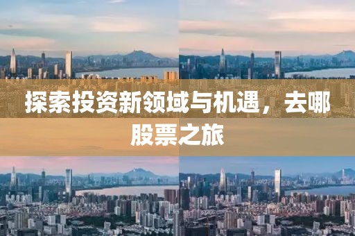 探索投資新領(lǐng)域與機(jī)遇，去哪股票之旅