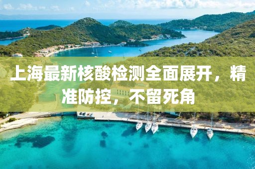 上海最新核酸檢測(cè)全面展開(kāi)，精準(zhǔn)防控，不留死角