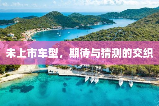 未上市車型，期待與猜測的交織