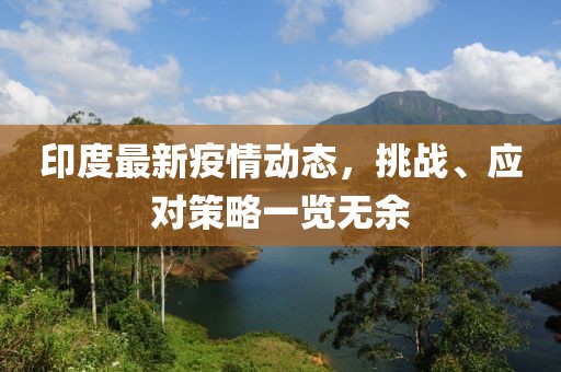 印度最新疫情動態(tài)，挑戰(zhàn)、應(yīng)對策略一覽無余