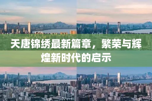 天唐錦繡最新篇章，繁榮與輝煌新時(shí)代的啟示