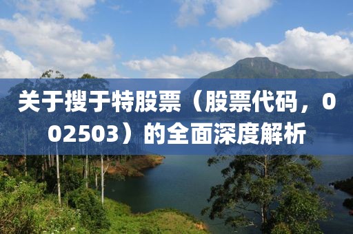 關(guān)于搜于特股票（股票代碼，002503）的全面深度解析