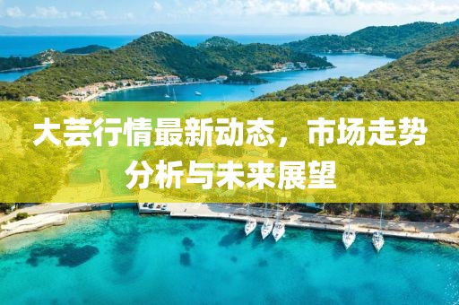 大蕓行情最新動態(tài)，市場走勢分析與未來展望