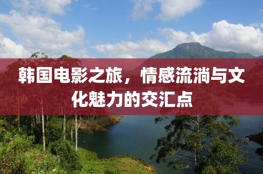 韓國(guó)電影之旅，情感流淌與文化魅力的交匯點(diǎn)