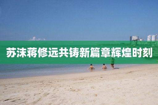 蘇沫蔣修遠共鑄新篇章輝煌時刻