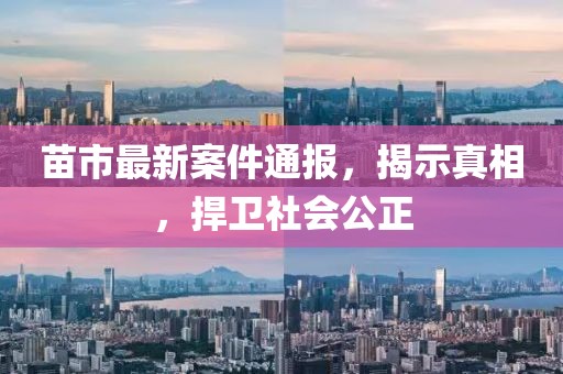 苗市最新案件通報，揭示真相，捍衛(wèi)社會公正