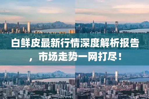 白鮮皮最新行情深度解析報(bào)告，市場走勢一網(wǎng)打盡！