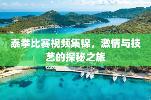 泰拳比賽視頻集錦，激情與技藝的探秘之旅