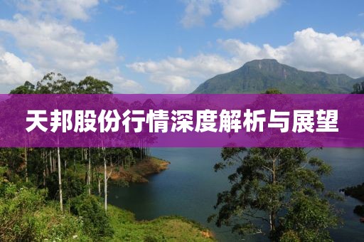 天邦股份行情深度解析與展望