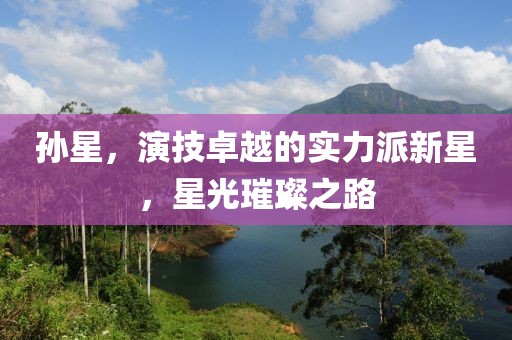 孫星，演技卓越的實(shí)力派新星，星光璀璨之路
